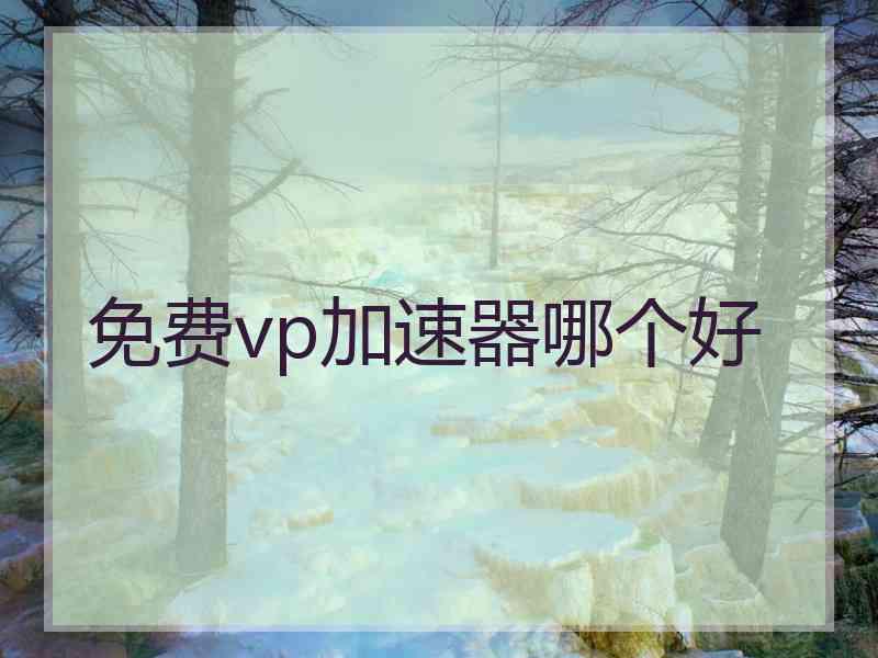 免费vp加速器哪个好