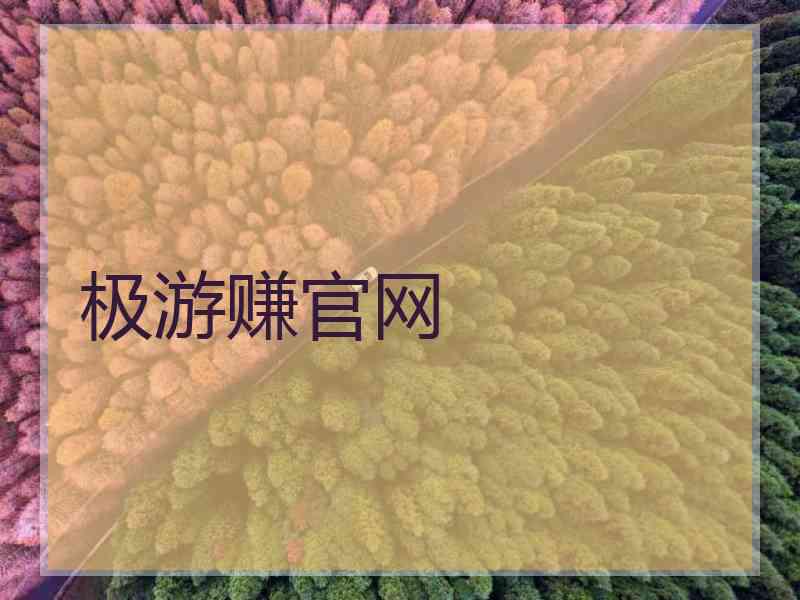 极游赚官网