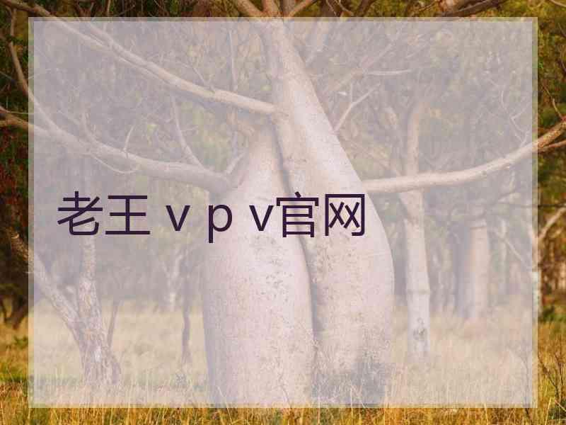 老王 v p v官网