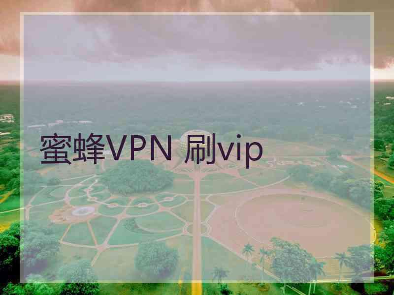 蜜蜂VPN 刷vip