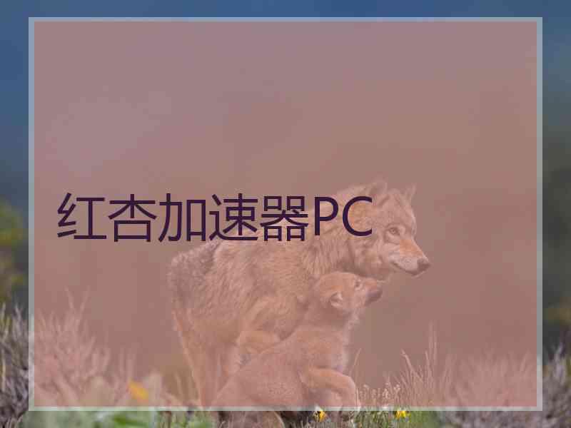 红杏加速器PC