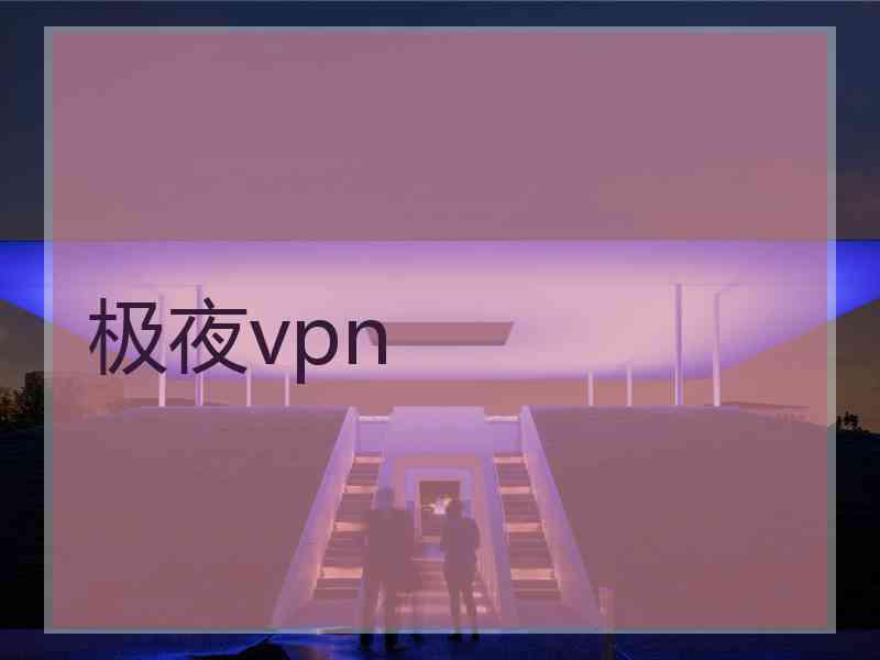 极夜vpn