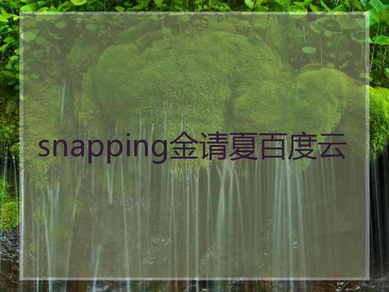 snapping金请夏百度云