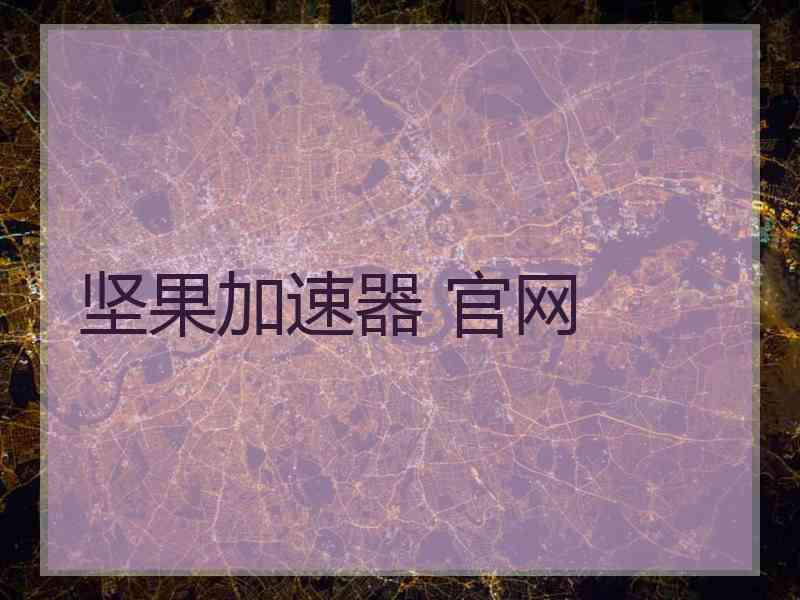 坚果加速器 官网