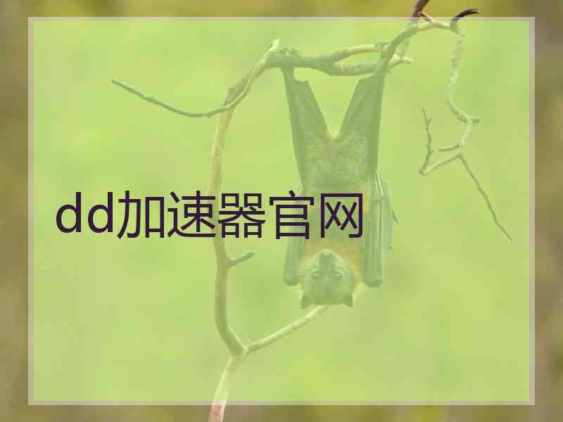 dd加速器官网