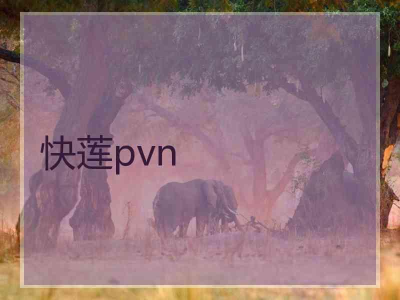 快莲pvn