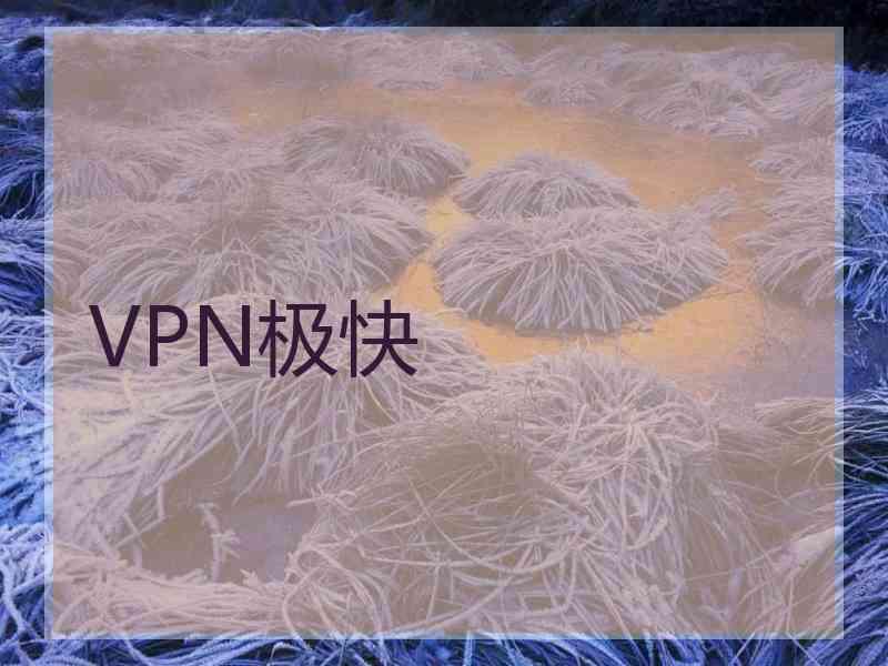 VPN极快