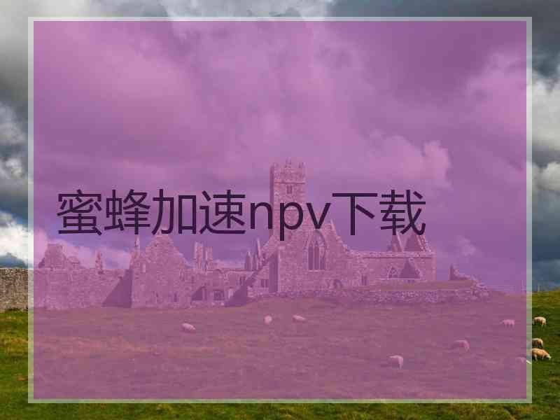 蜜蜂加速npv下载