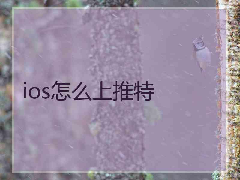 ios怎么上推特