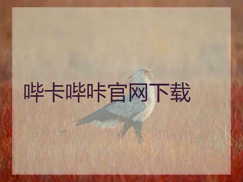 哔卡哔咔官网下载