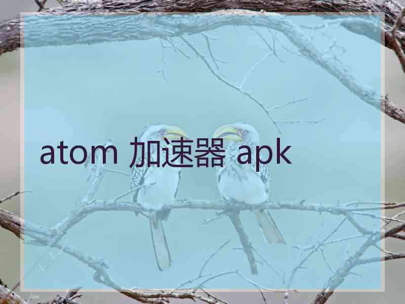 atom 加速器 apk