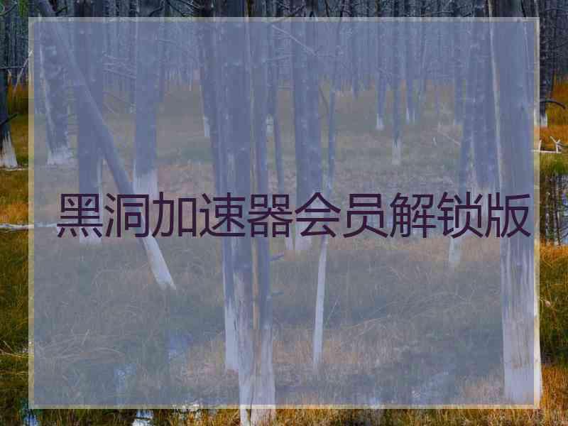 黑洞加速器会员解锁版