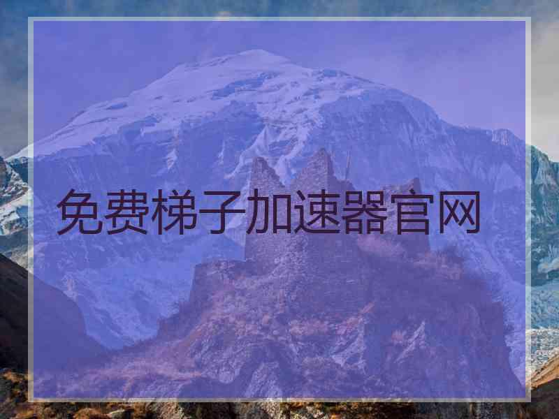 免费梯子加速器官网