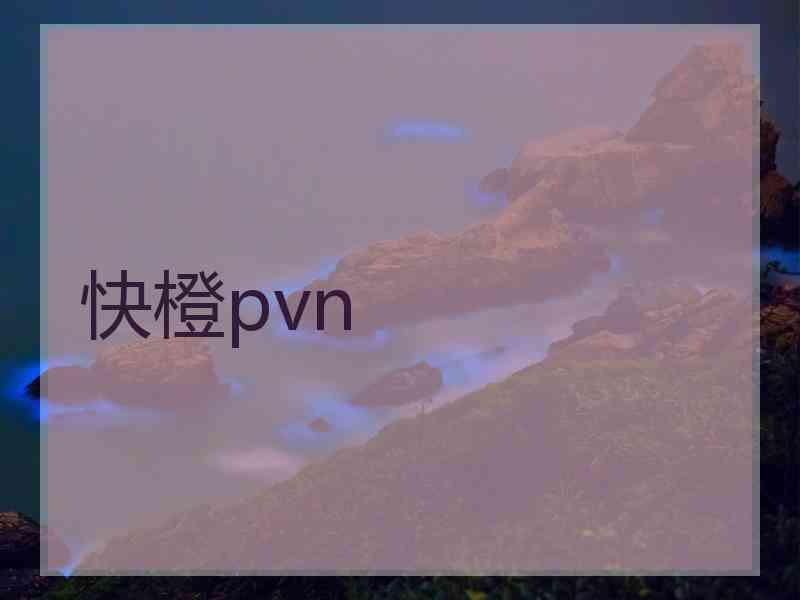 快橙pvn