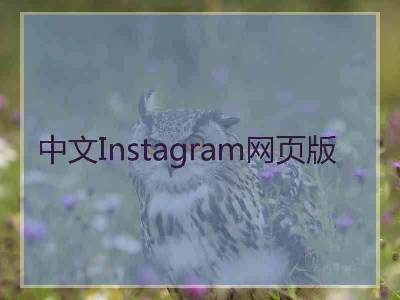 中文Instagram网页版