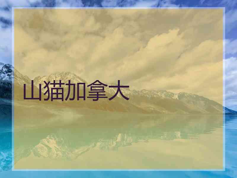 山猫加拿大