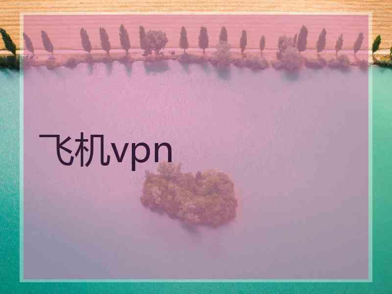 飞机vpn