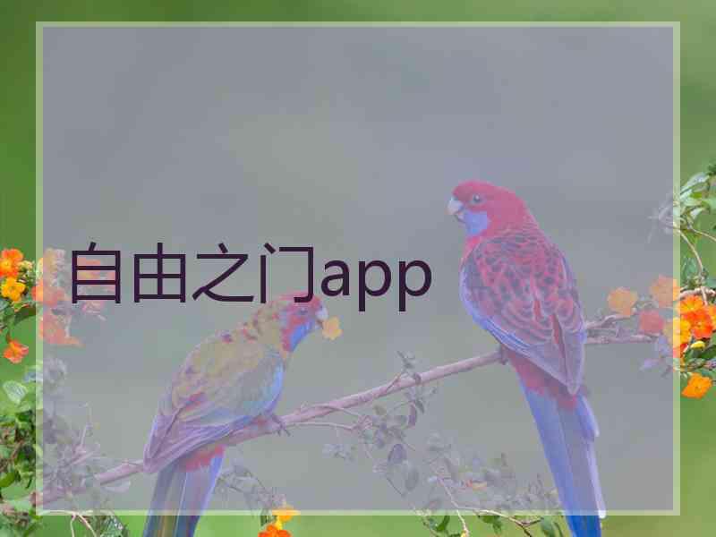 自由之门app