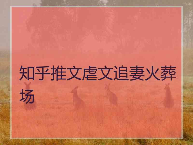 知乎推文虐文追妻火葬场