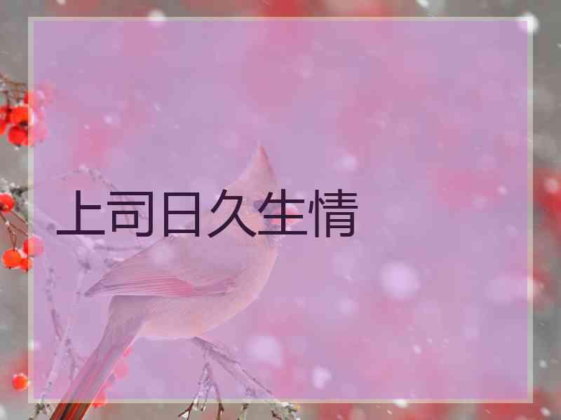 上司日久生情