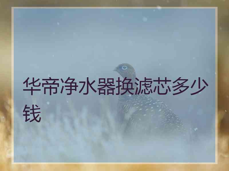 华帝净水器换滤芯多少钱