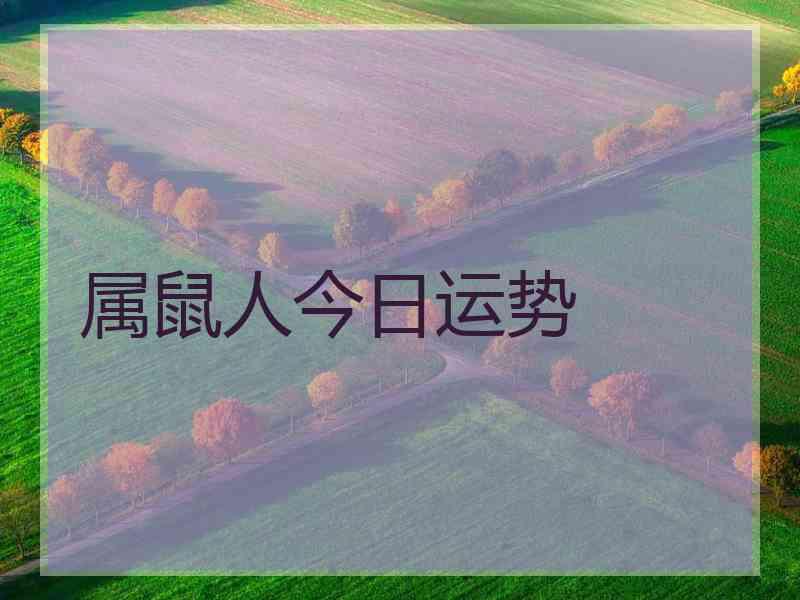 属鼠人今日运势