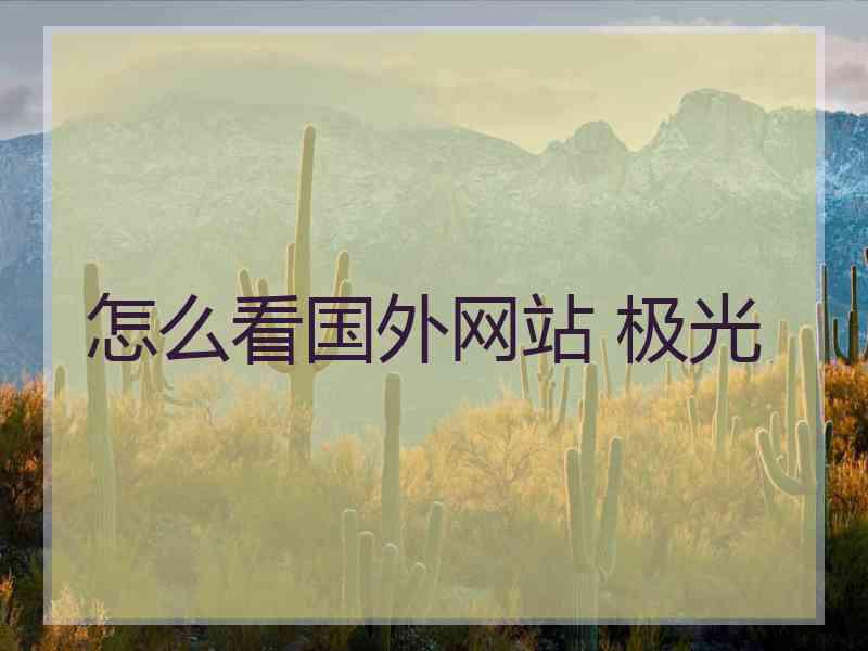 怎么看国外网站 极光