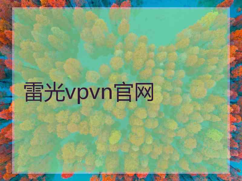 雷光vpvn官网