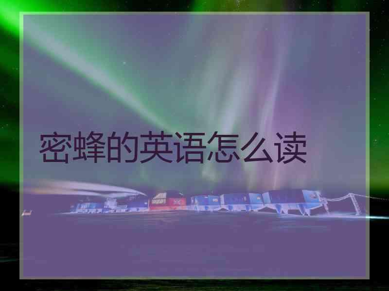 密蜂的英语怎么读