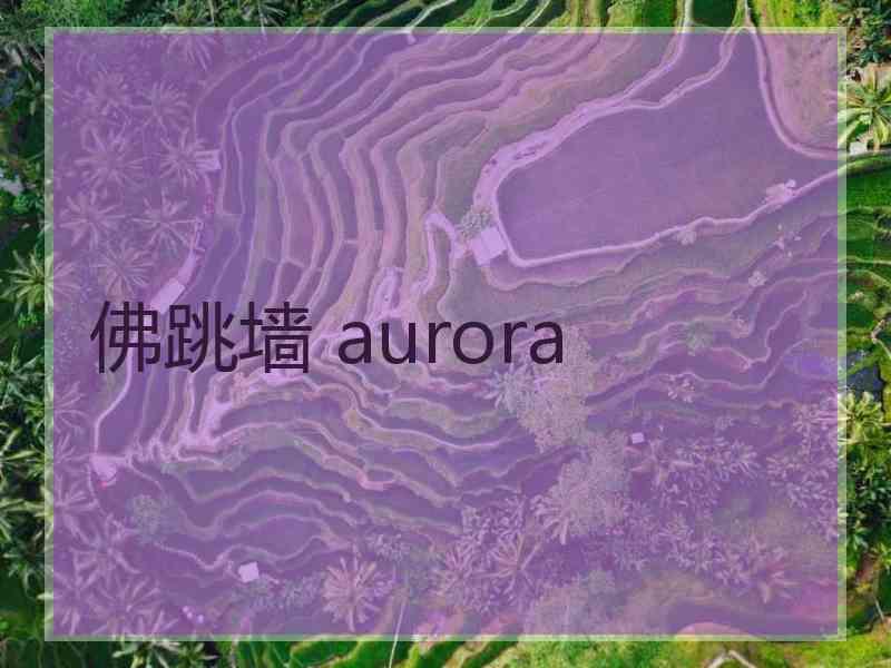 佛跳墙 aurora