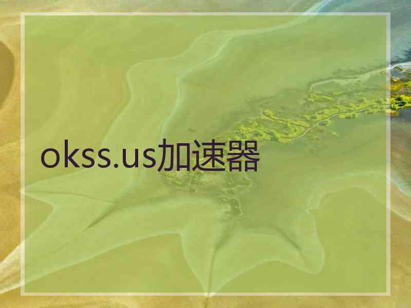 okss.us加速器