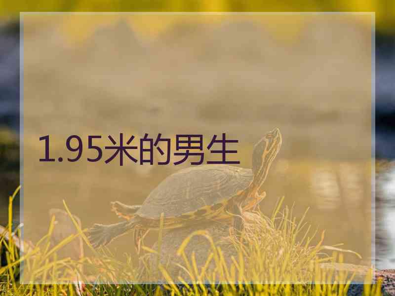1.95米的男生