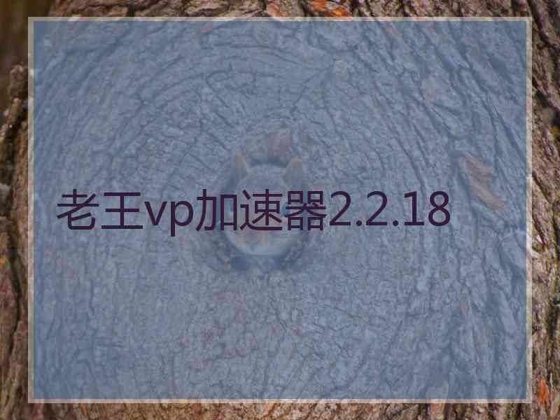 老王vp加速器2.2.18