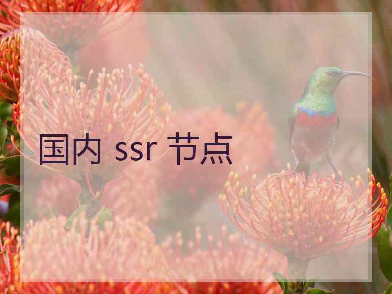 国内 ssr 节点