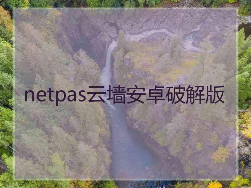 netpas云墙安卓破解版