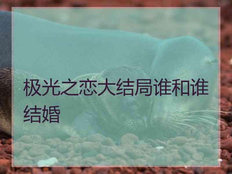 极光之恋大结局谁和谁结婚