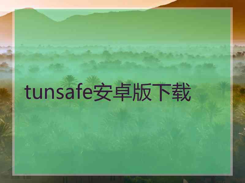 tunsafe安卓版下载