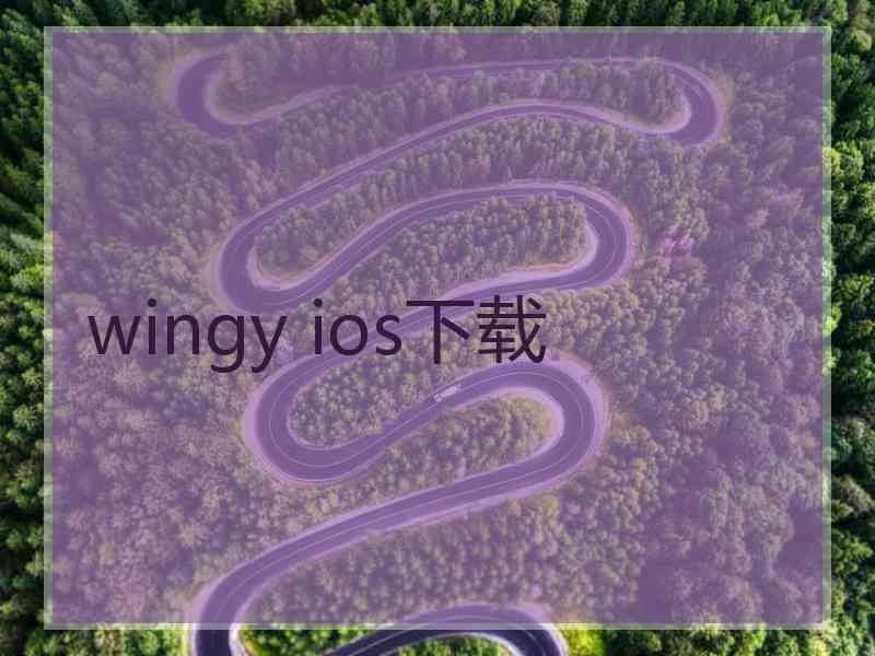 wingy ios下载