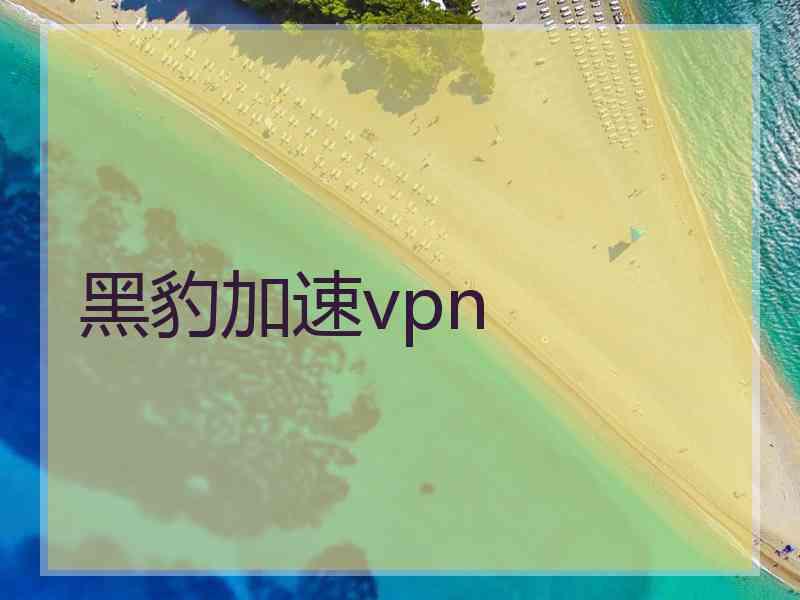 黑豹加速vpn