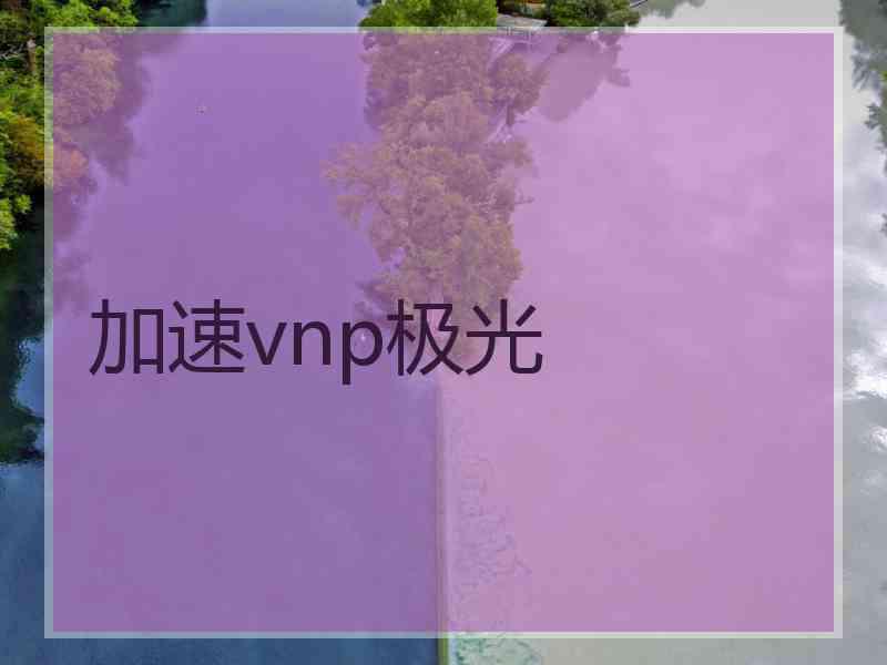 加速vnp极光