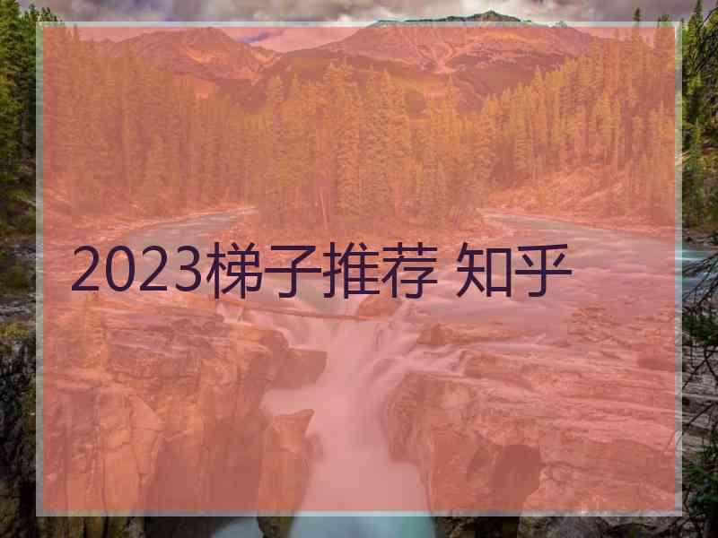 2023梯子推荐 知乎