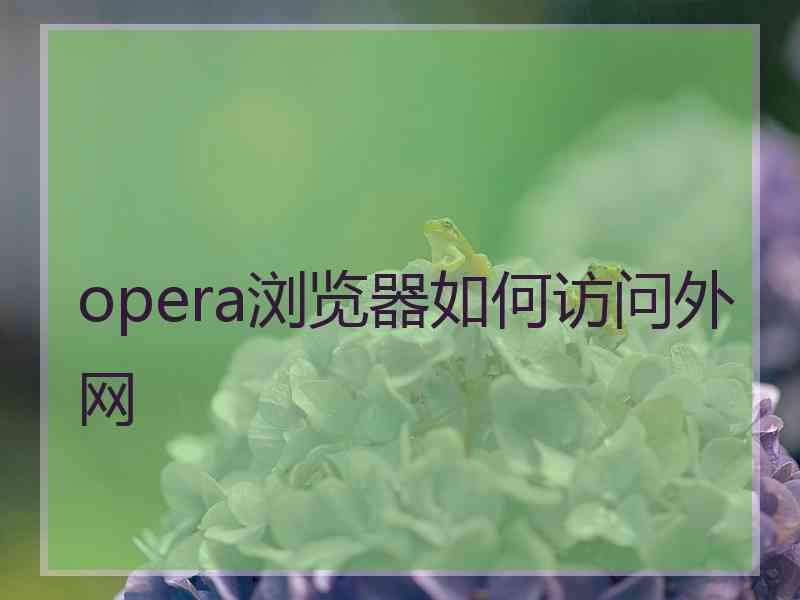 opera浏览器如何访问外网