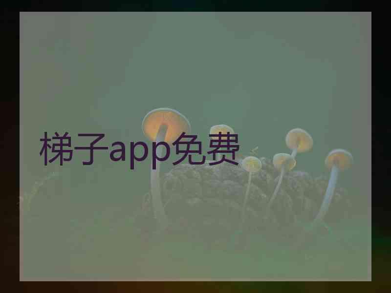 梯子app免费