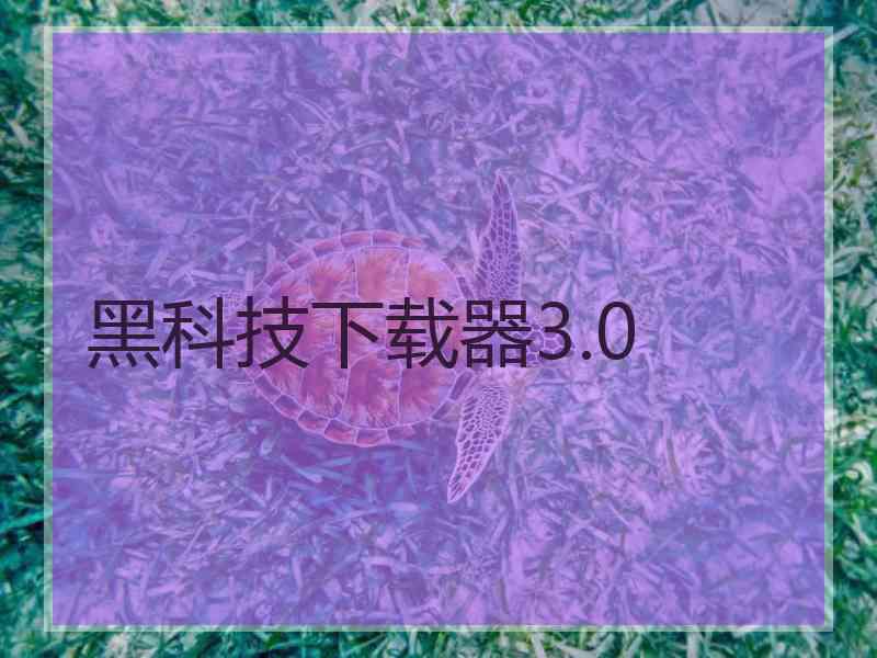 黑科技下载器3.0