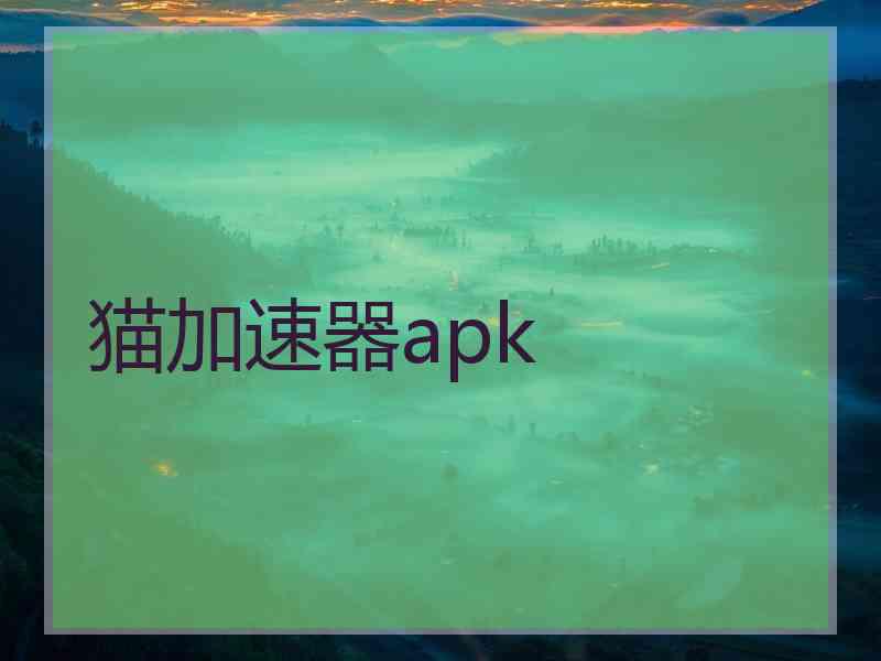 猫加速器apk