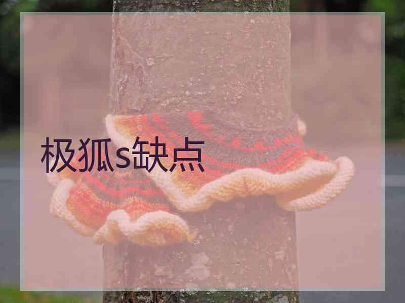 极狐s缺点
