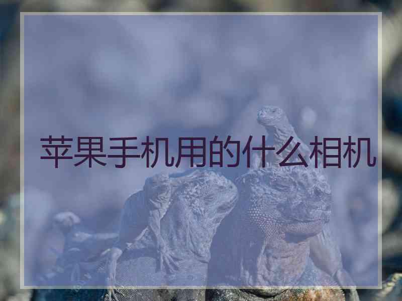 苹果手机用的什么相机