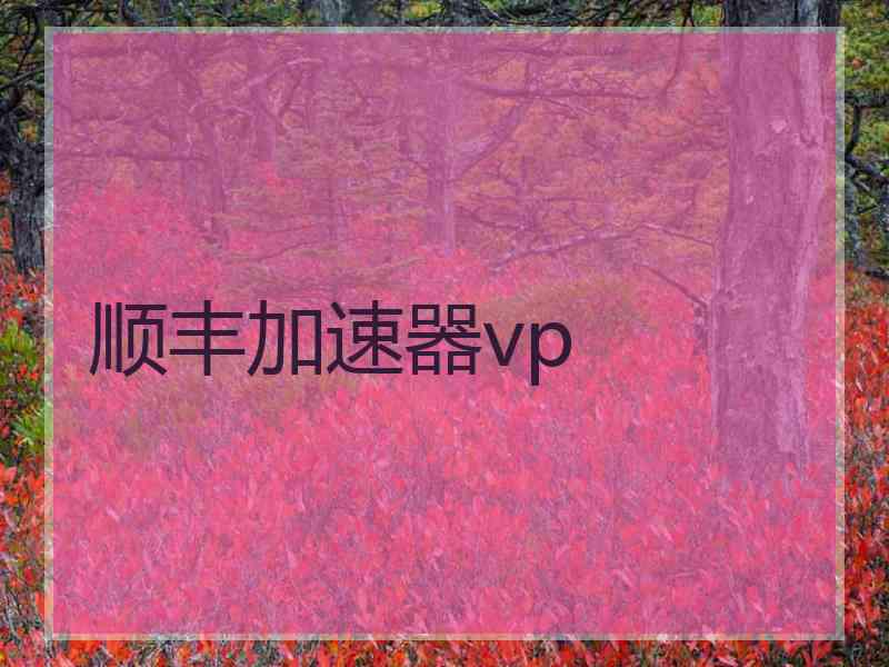 顺丰加速器vp