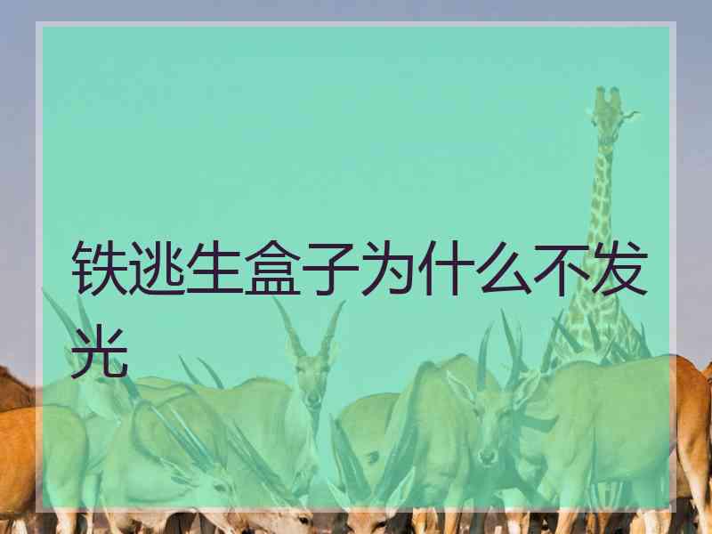 铁逃生盒子为什么不发光