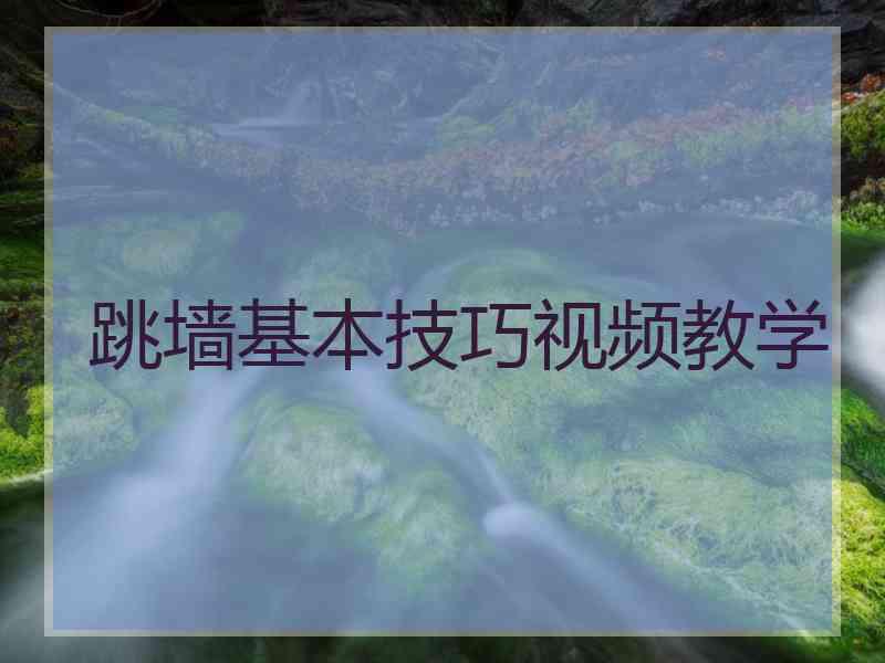 跳墙基本技巧视频教学